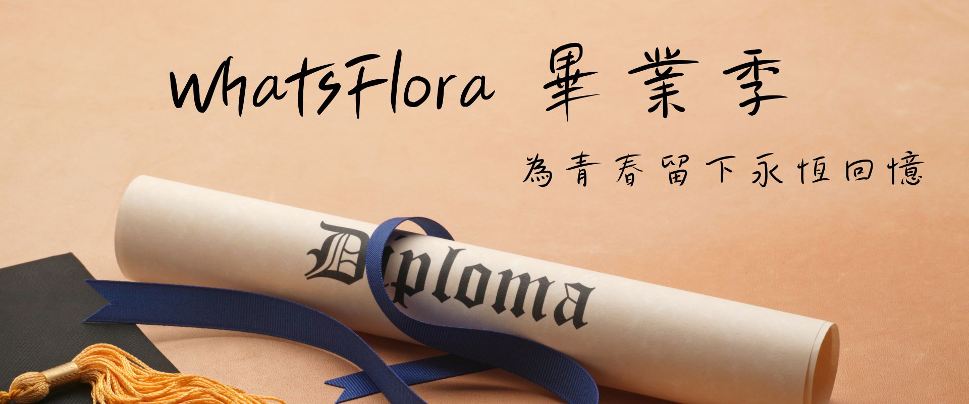 畢業禮物、畢業花禮 - Whatsflora